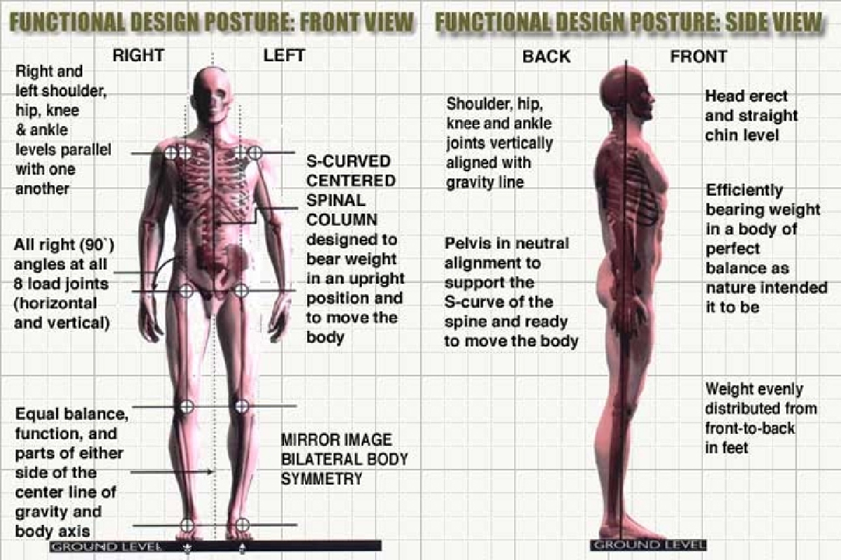 Postural Alignment Therapy 